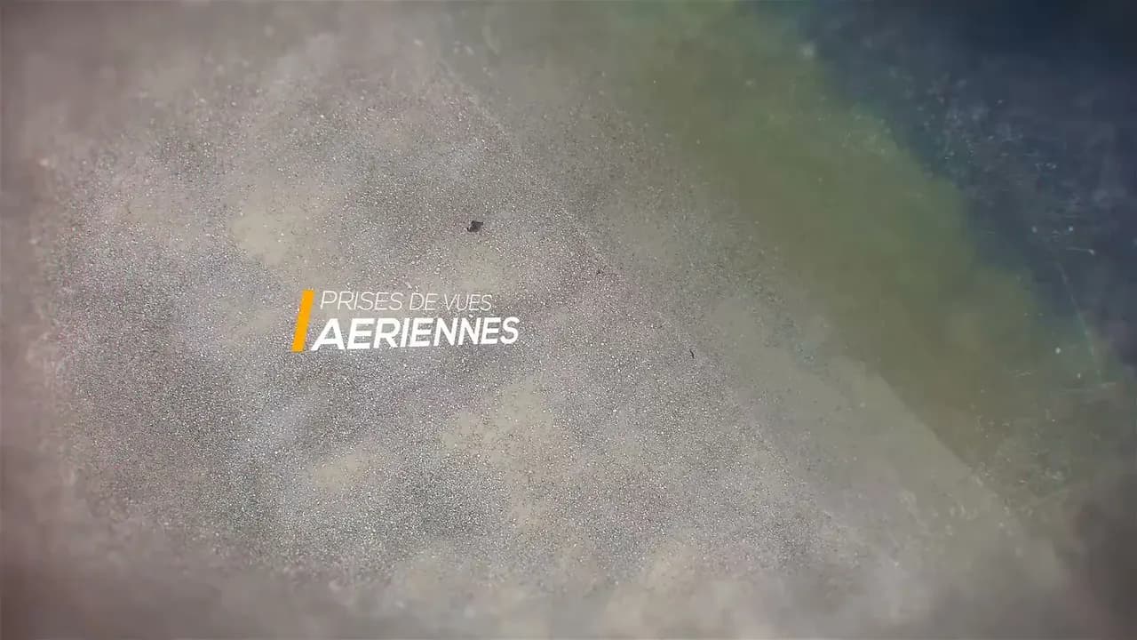 Showreel Feniks Studios — production audiovisuelle